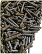 333__5_-removebg-preview